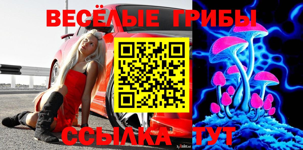 Скопин  купить наркотики цена  Вход с VPN  Галлюциногенные грибы Cubensis 